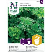 Selleri Nelson Garden Yrtti Gewone Snij, siemenet
