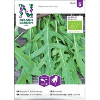 Villirukolasalaatti Nelson Garden Organic, siemenet