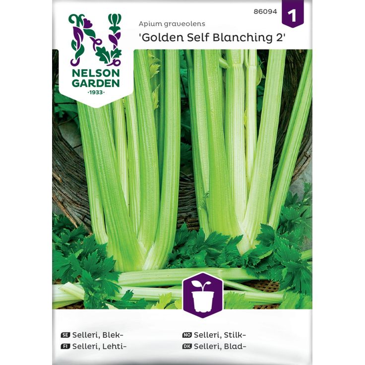 Lehtiselleri siemen Nelson Garden Golden Self Blanching 2