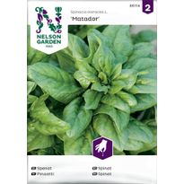 Pinaatti Nelson Garden Matador, siemenet