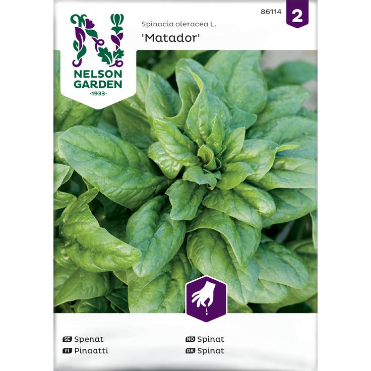 Pinaatti siemen Nelson Garden Matador