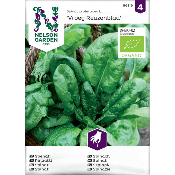 Pinaatti siemen Nelson Garden Vroeg Reuzenblad Organic