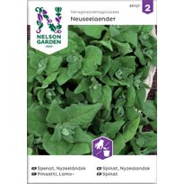 Lamopinaatti Nelson Garden Uudenseelannin, siemenet