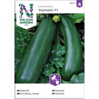 Kesäkurpitsa Nelson Garden Zucchini/Diamant F1, siemenet