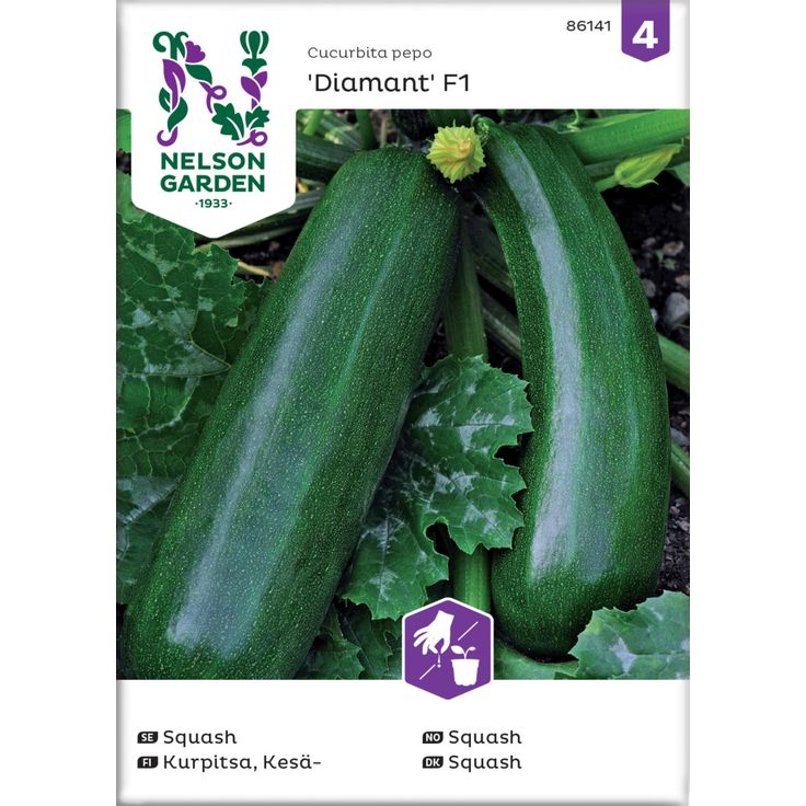 Kesäkurpitsa siemen Nelson Garden Zucchini/Diamant F1