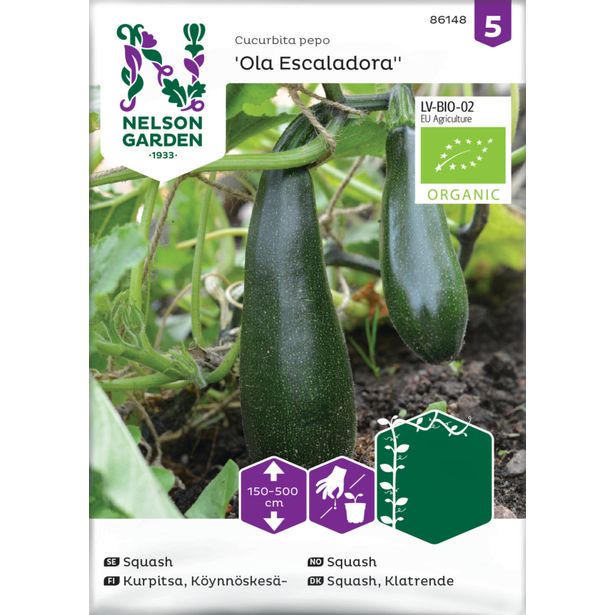 Köynnöskesäkurpitsa siemen Nelson Garden Ola Escaladora Organic