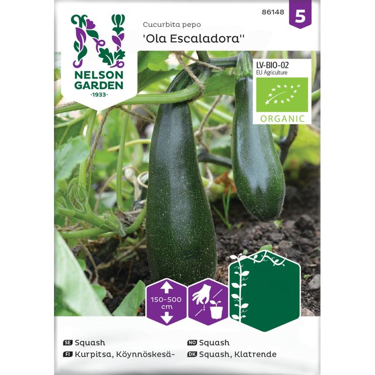 Köynnöskesäkurpitsa siemen Nelson Garden Ola Escaladora Organic