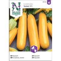 Kesäkurpitsa Nelson Garden Soleil F1, siemenet