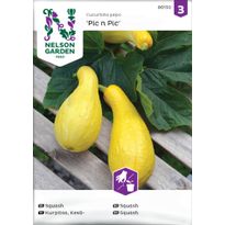Kesäkurpitsa Nelson Garden Zucchini/Pic n Pic, siemenet