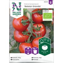 Tomaatti Nelson Garden Bolstar Granda Organic, siemenet