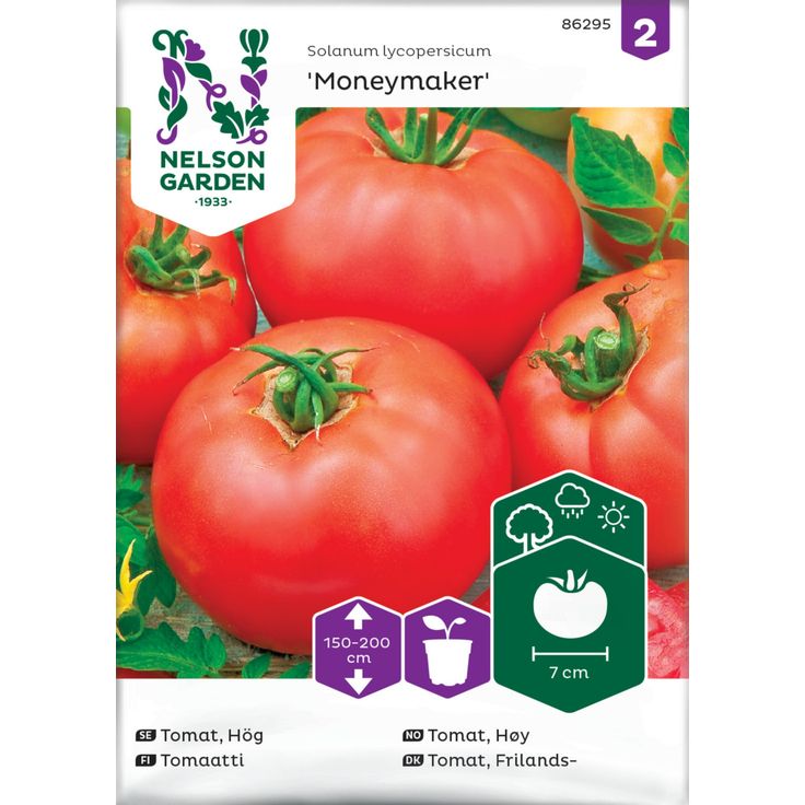 Tomaatti siemen Nelson Garden Moneymaker