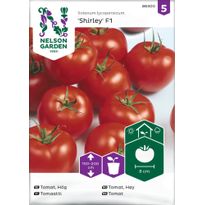 Tomaatti Nelson Garden Shirley F1, siemenet