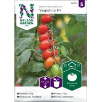 Kirsikkatomaatti Nelson Garden Vespolino F1, siemenet