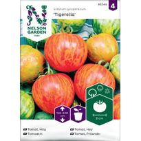Tomaatti Nelson Garden Tigerella, juovikas, siemenet
