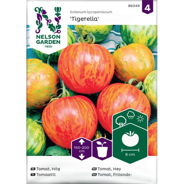 Tomaatti siemen Nelson Garden Tigerella, juovikas