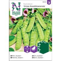 Sokeriherne Nelson Garden Grijze Roodboeiende, siemenet