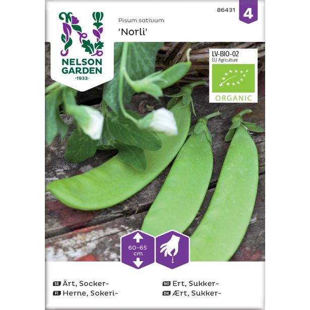 Sokeriherne siemen Nelson Garden Norli Organic