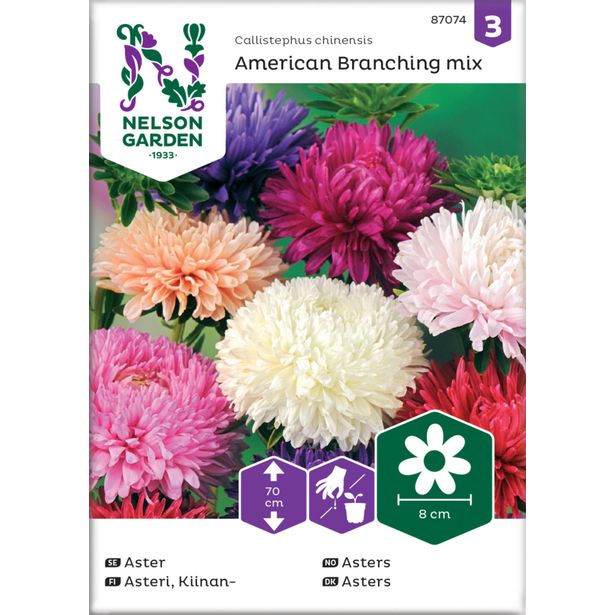 Kiinanasteri siemen Nelson Garden American Branching