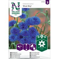 Ruiskaunokki Nelson Garden Blue Boy, siemenet