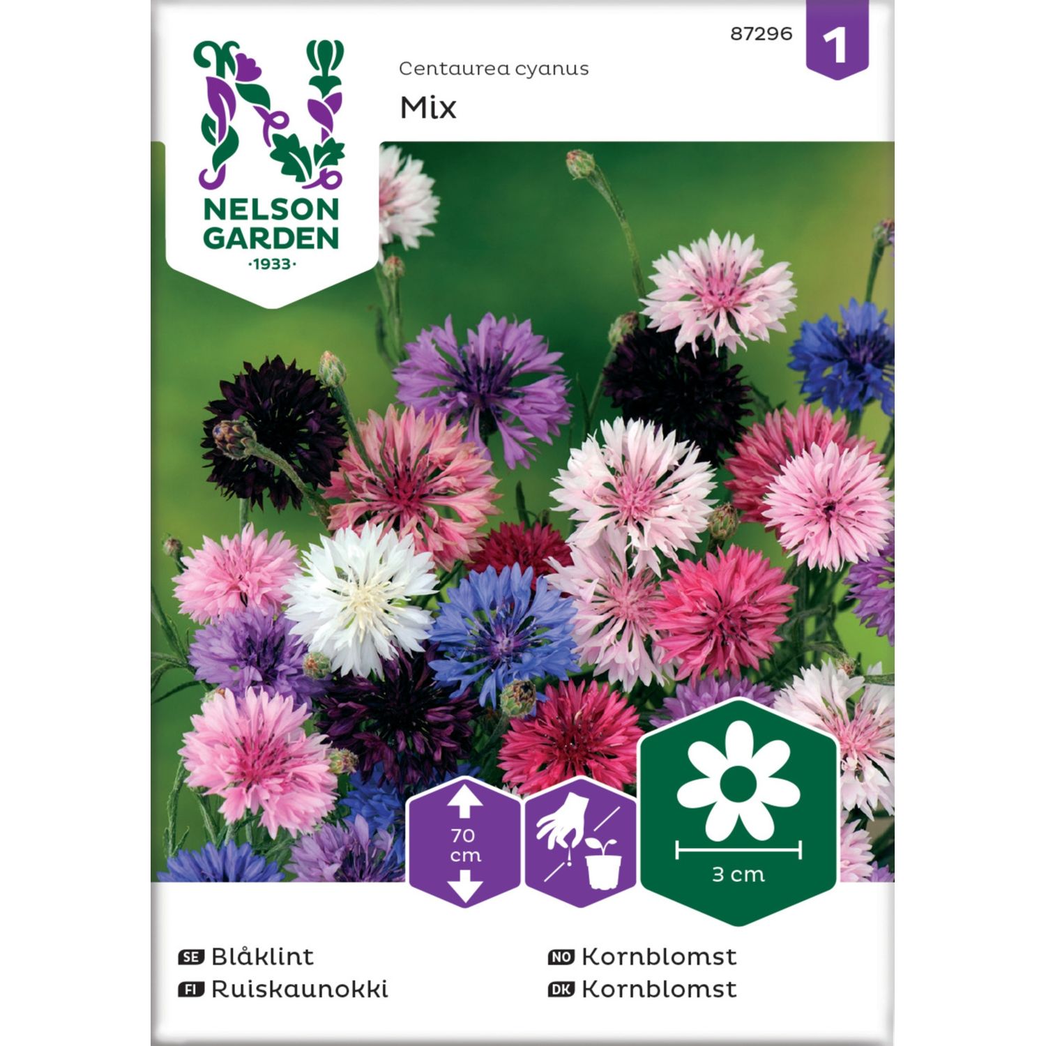 Ruiskaunokki Nelson Garden, väriseos, siemenet