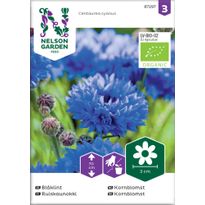 Ruiskaunokki Nelson Garden Organic, siemenet