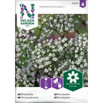 Morsiusharso Nelson Garden, siemenet
