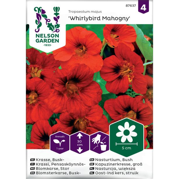 Pensasköynnöskrassi siemen Nelson Garden Whirlybird Mahogany