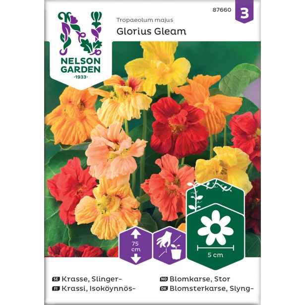 Isoköynnöskrassi siemen Nelson Garden Glorious Gleam