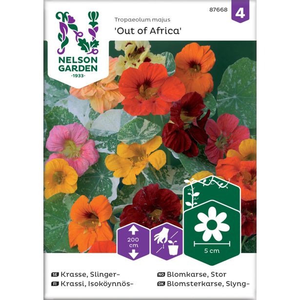 Isoköynnöskrassi siemen Nelson Garden Out of Africa