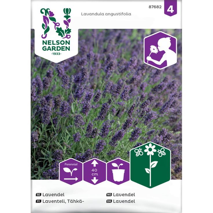 Tähkälaventeli siemen Nelson Garden