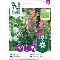 Leijonankita Nelson Garden seos Organic, siemenet