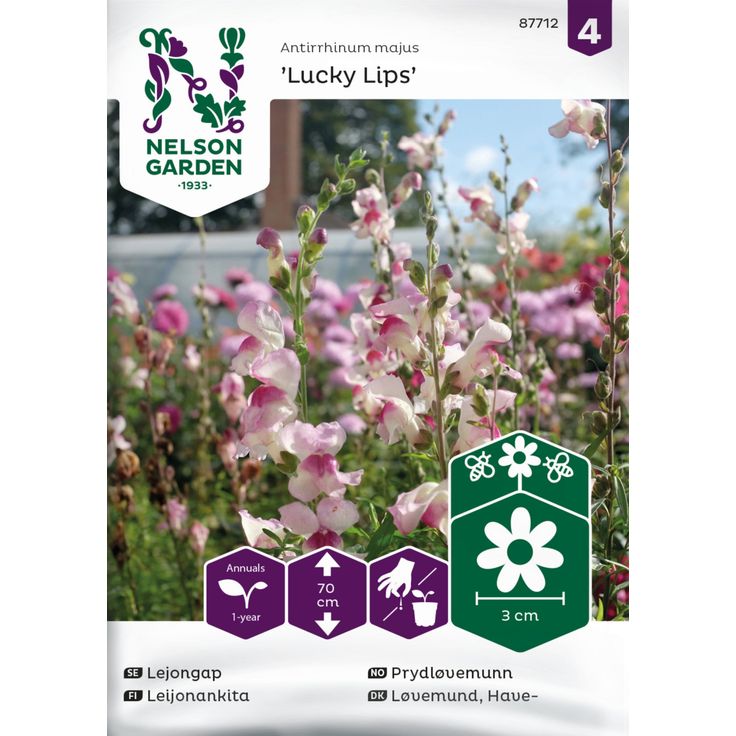 Leijonankita siemen Nelson Garden Lucky Lips