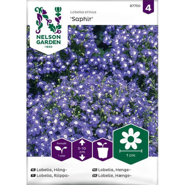Riippalobelia siemen Nelson Garden Saphir