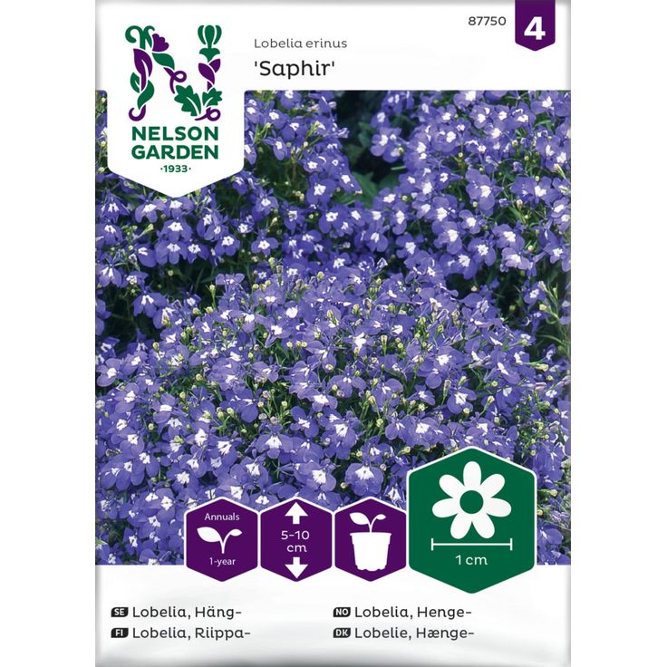 Riippalobelia siemen Nelson Garden Saphir