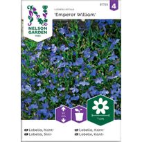 Sinilobelia Nelson Garden Emperor William, siemenet