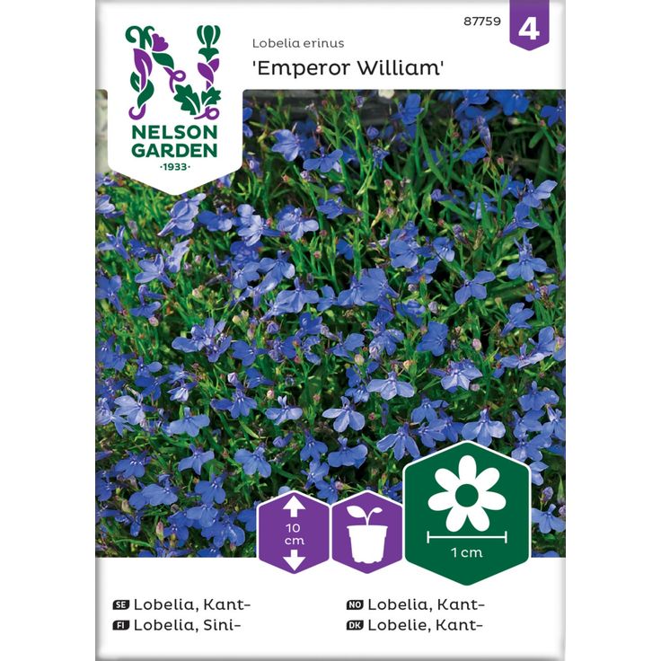 Sinilobelia siemen Nelson Garden Emperor William