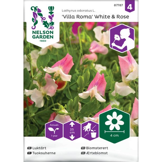 Tuoksuherne siemen Nelson Garden Villa Roma  White & Rose