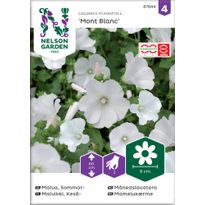 Kesämalvikki Nelson Garden Mont Blanc, siemenet