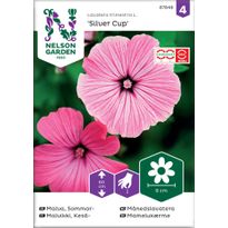 Kesämalvikki Nelson Garden Silver Cup, siemenet