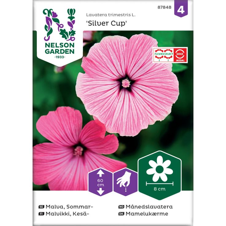 Kesämalvikki siemen Nelson Garden Silver Cup