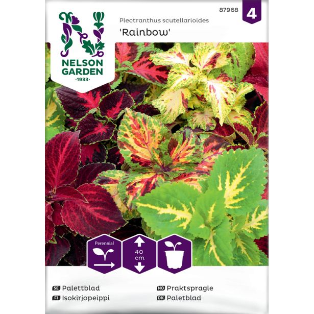 Isokirjopeippi siemen Nelson Garden Rainbow, seos