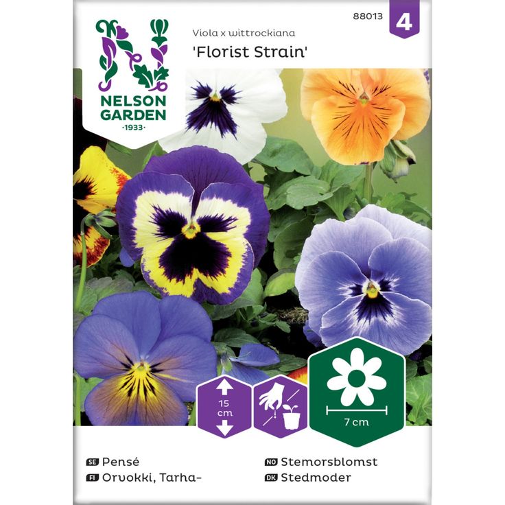 Tarhaorvokki siemen Nelson Garden, Florist Strain, jättiläinen