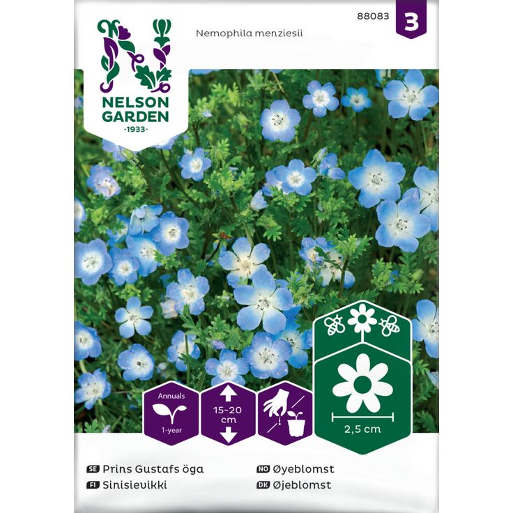 Sinisievikki siemen Nelson Garden