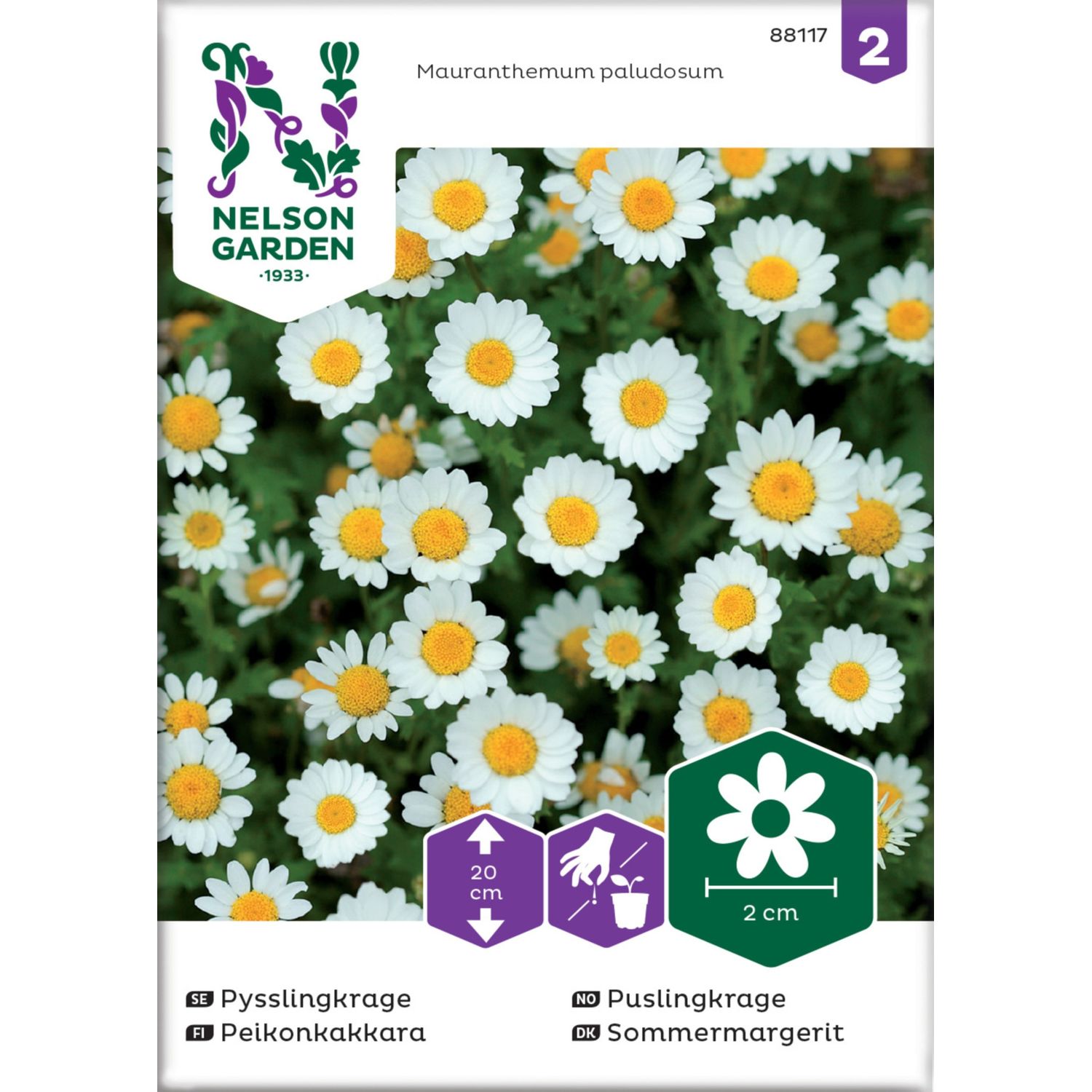 Peikonkakkara Nelson Garden, siemenet