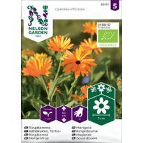 Tarhakehäkukka Nelson Garden väriseos Organic, siemenet