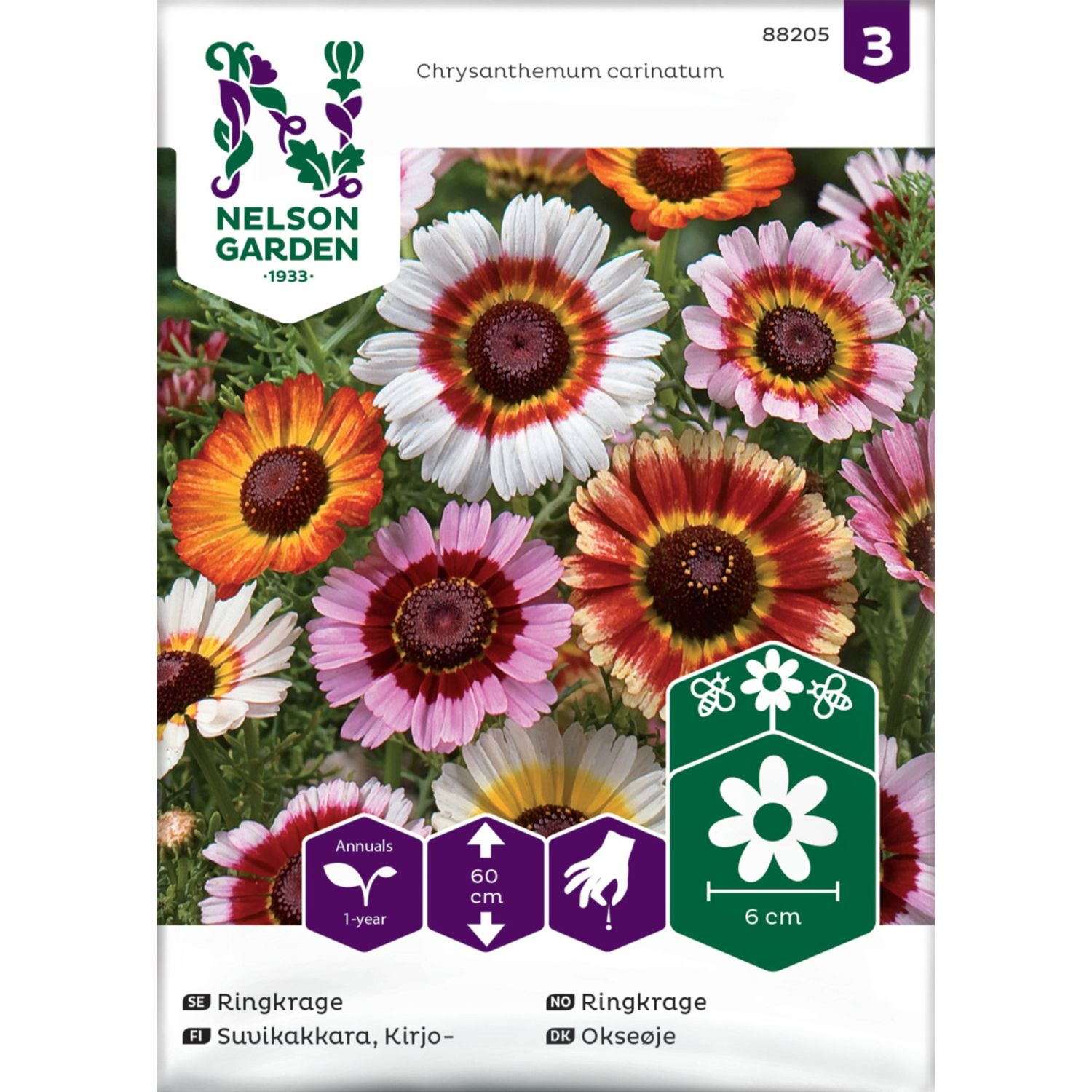 Kirjosuvikakkara Nelson Garden, siemenet