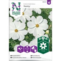 Punakosmoskukka Nelson Garden Purity, siemenet