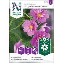 Punakosmoskukka Nelson Garden Fizzy Pink Dark Cent, siemenet