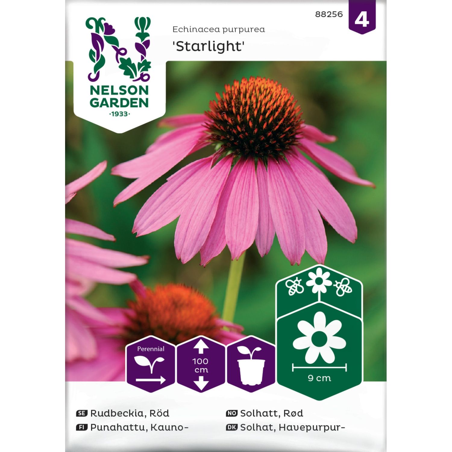 Kaunopunahattu Nelson Garden Starlight, siemenet