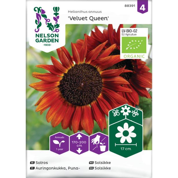 Auringonkukka siemen Nelson Garden Velvet Queen Organic